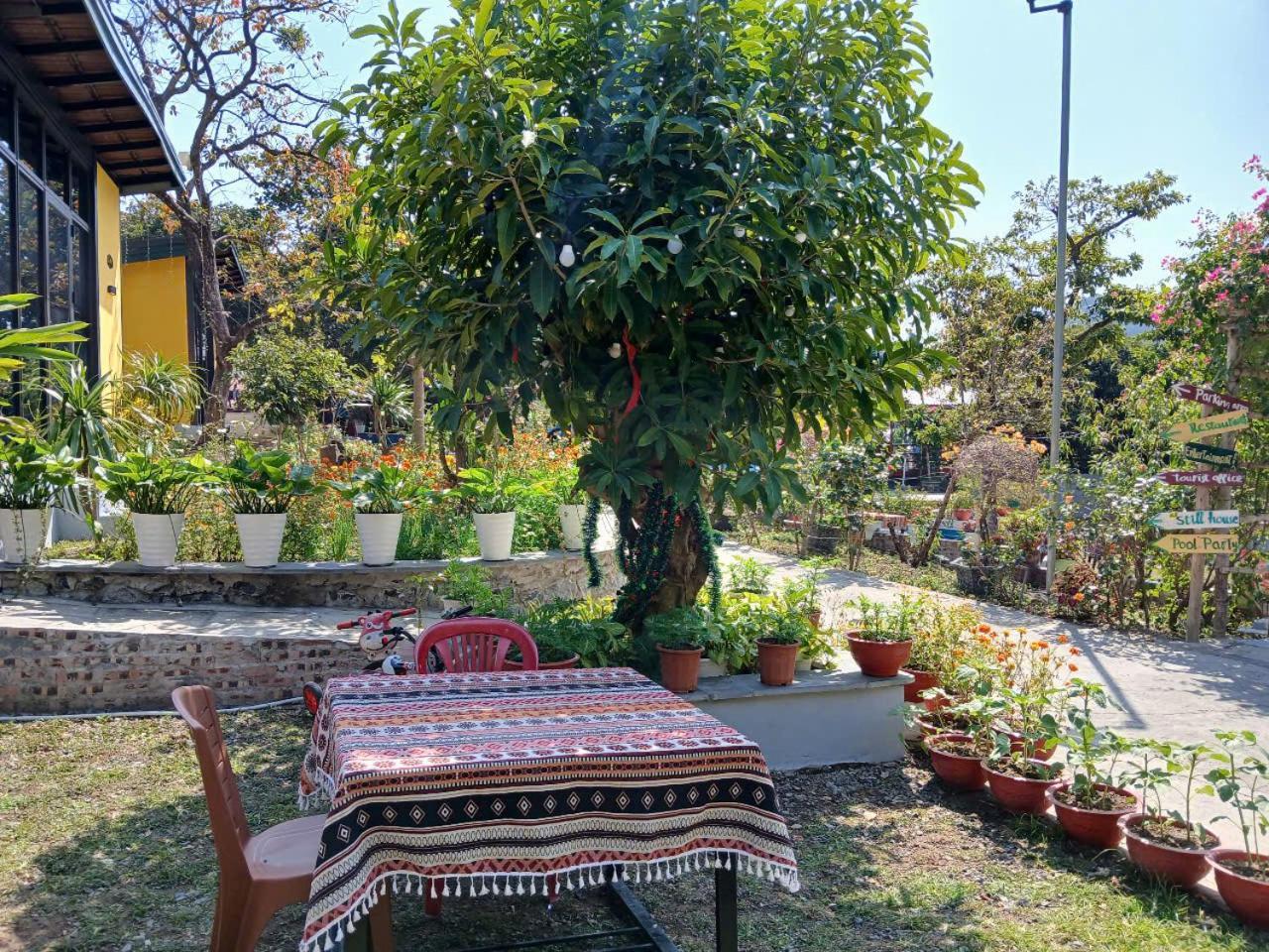 Catba Papillon Garden Bungalows & Resort Hien Hao Exterior photo