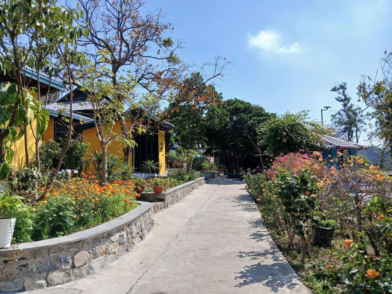 Catba Papillon Garden Bungalows & Resort Hien Hao Exterior photo