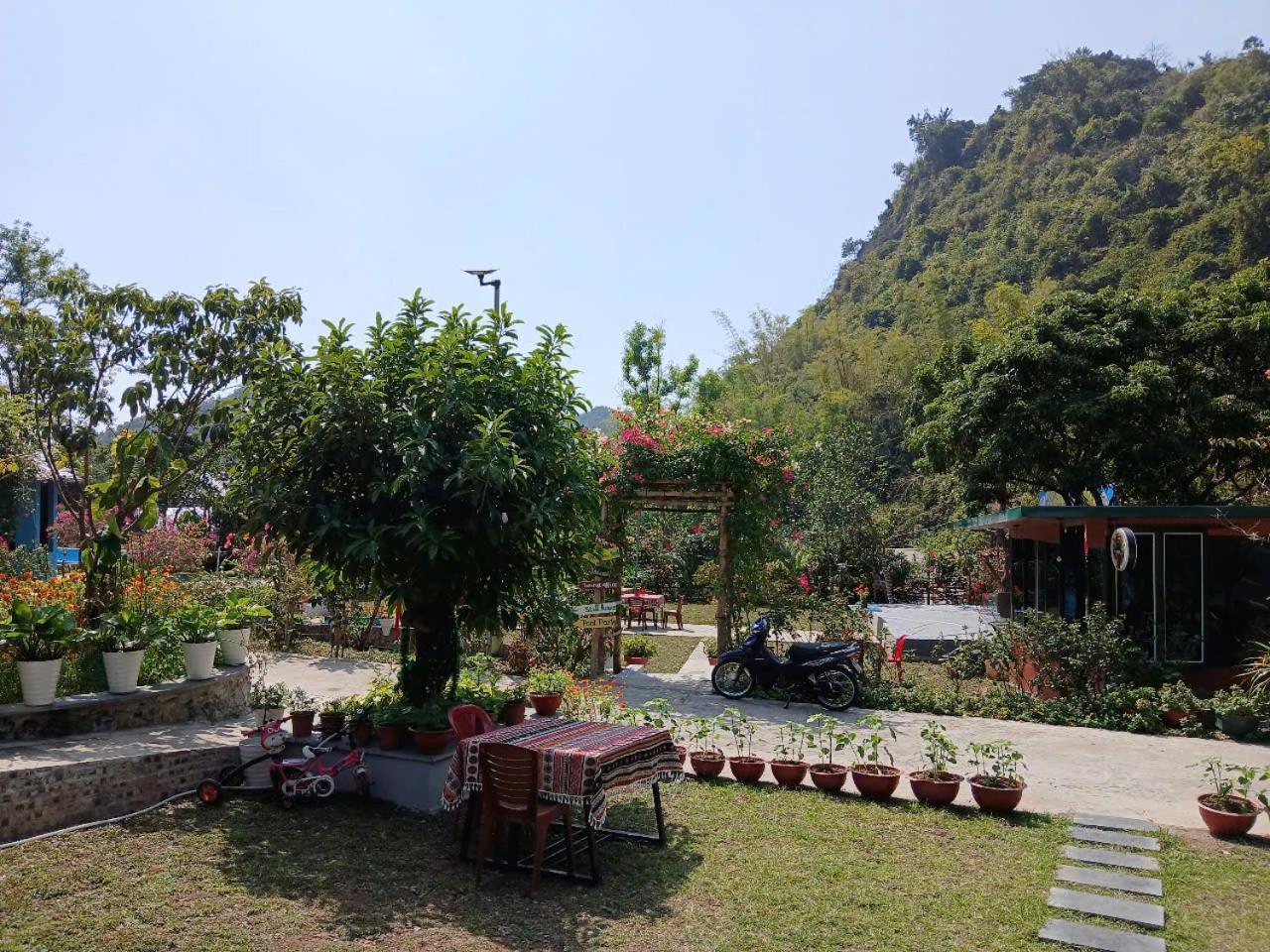 Catba Papillon Garden Bungalows & Resort Hien Hao Exterior photo